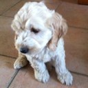 Kirby Shields - @kirby_may - Twitter