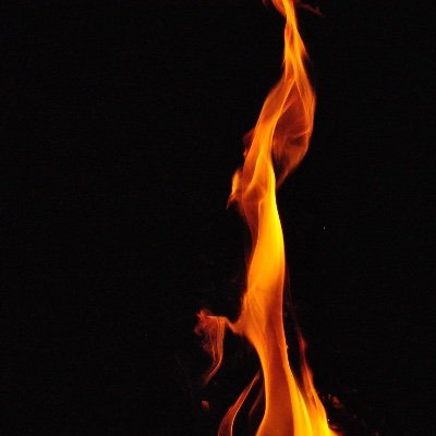 EmilyAustinFire's profile picture. Love.
She/her.