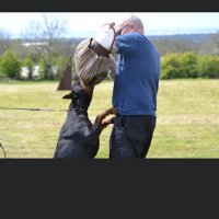 Paul Moran (@paulmor02745794) 's Twitter Profile