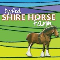 Dyfed Shire Horse Farm(@DyfedShires) 's Twitter Profile Photo