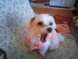 honey_pot_trap's profile picture. 50にして迷いの人生…