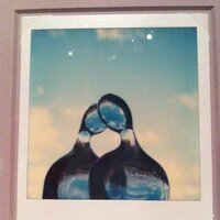 Moïna Fauchier-Delavigne (@moinafd) 's Twitter Profile