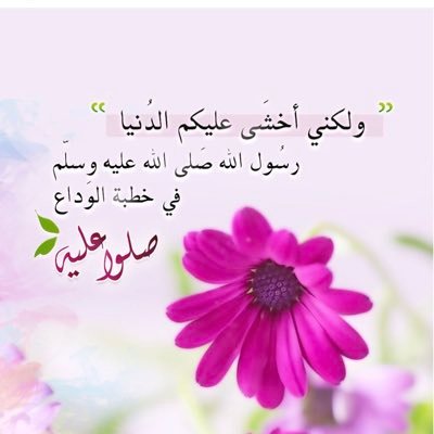 DXAwI1GEBUIp7gn's profile picture. 