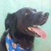 Felipe Basto (@felipebastoreal) Twitter profile photo Felipe Basto (@felipebastoreal) Twitter profile photo