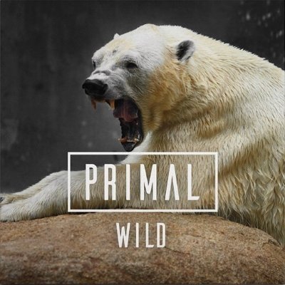 PRIMAL are a Nottingham based power trio playing soulful blues rock with howling vocals groovy riffs and pounding drums! enquiries: primalrockband@gmail.com