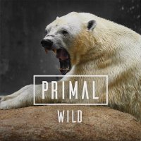 PRIMAL(@Primalrockband) 's Twitter Profileg
