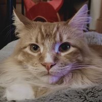 đ´ó §ó ˘ó łó Łó ´ó żBob Sinclairđ´ó §ó ˘ó łó Łó ´ó ż (@celtic_spring) 's Twitter Profile