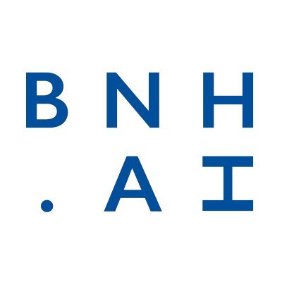 bnh.ai