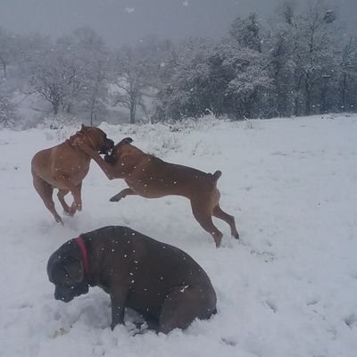 dischirm's profile picture. Conservative Californian,  Redneck, Conspiracy Theorist that loves America and hates where our country is going...   NO DM'S No Porn Will block immediately