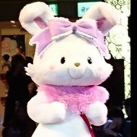 はくとん様❤️おまとめ専用ページです。12/19まで♡ Amazon.co.jp: せんせーのおよめさんになりたいおんなのこはみー
