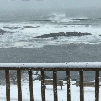 cpcrown1's profile picture. #Trump2024. #AmericaFirst. #UltraMAGA. #NRA #2A support Trump MAGA. #SaveAmerica . USA is a constitutional republic. #DOGE Support Elon Musk