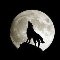 yutorihaleiwa's profile picture. 大切な家族を幸せにすることを常に考える20代日系企業総合職🏢価値観と視野のアップデート、失敗の繰り返しでそれを目指す。大切なことは、質の高い『問い』を設定すること。2020年2月からプログラミングの勉強開始。