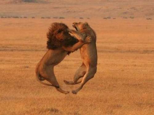 sqer22's profile picture. 