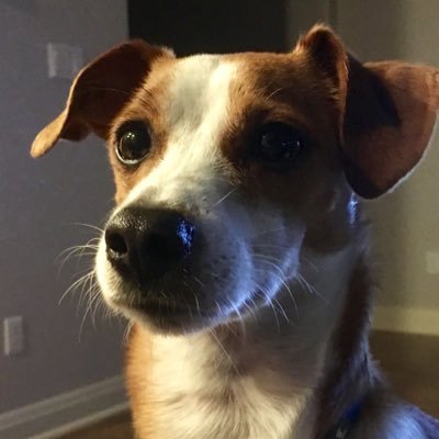 TraciWilliamsG2's profile picture. 