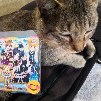 ２代目アカウントになります(^_^ゞ今日もやっぱり猫とプリパラ&プリチャンとアイカツとレトロなオモチャに囲まれている怪しい介護士です🎵後、いいね50連打と無言フォロー祭りが大好きです(*´∀`)♪