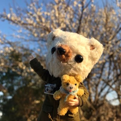 sickybear Profile Picture