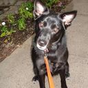 Jane Pace - @onlinevirginia - Twitter