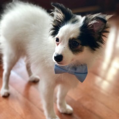 Alicja37988437's profile picture. Just trying to survive these last few years.....