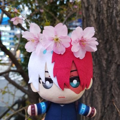 お雪nkさんのプロフィール画像