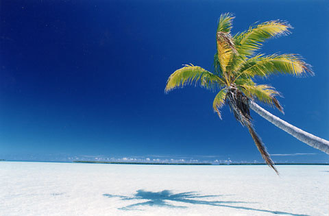 tblearn's profile picture. A group of Learning and Development Smokestacks belching out tweets since January 2011.