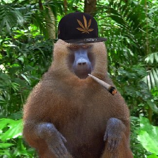 WeedMonkey_'s profile picture. where the i am