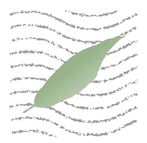 peace_resort's profile picture. Peace Resort established in 1977 on Bophut Beach, Koh Samui by the Pupaiboon family who privately owned and developed their hotel business.