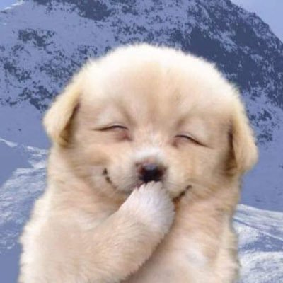 WWbzvvhGAp2UsJC's profile picture. 