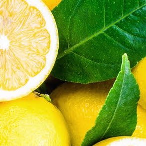 lemon55809321's profile picture. 