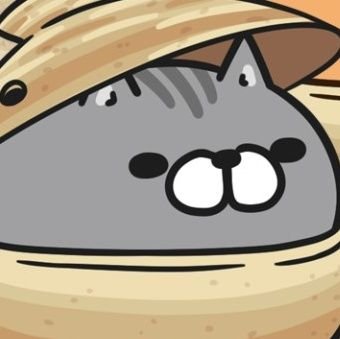 Working79129147's profile picture. PRODUCE 101 JAPANからK-POPにハマり気味に…。
JO1とENHYPENの動画、情報を収集するのがナイトルルーティン。