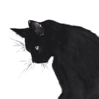 猫 (@here_fdjm) 's Twitter Profile
