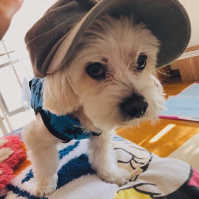 ちきちきさんのプロフィール画像