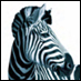 Follow all the international Investec rugby sponsorships and updates here. Join the Investec Rugby Challenge; http://t.co/M7o4xgv6Uf
