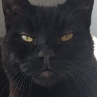 Chris (@chriszehntner) 's Twitter Profile Photo Chris (@chriszehntner) 's Twitter Profile Photo