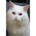 We called him Malcolm (@callmalcolm) Twitter profile photo We called him Malcolm (@callmalcolm) Twitter profile photo