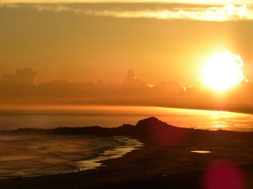 Farol_InConcert's profile picture. 