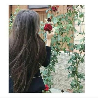 dnetUS2NFhlLXGa's profile picture. لاشي