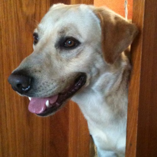 andreadful's profile picture. FITTER. HAPPIER. MORE PRODUCTIVE.