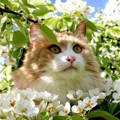 kC5wODwumRDSoy8's profile picture. 