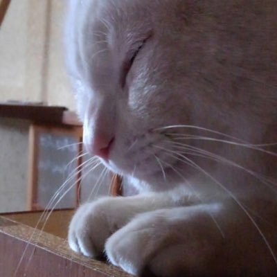 Ryuhapa's profile picture. リュハパと申します。3児の父です❗️ youtubeにリュハパという名でゲーム動画をUP中😊1000本投稿を目指してます✨ご視聴👀評価👍コメント📝#チャンネル登録 よろしくお願いします。泣いて喜びます❗️待っとるけんねー😁DM⭕️仲良くなった方どんどん拡散します😃コチラからも絡みます♪