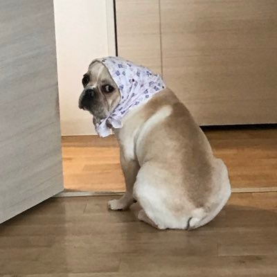 ごんさんのプロフィール画像