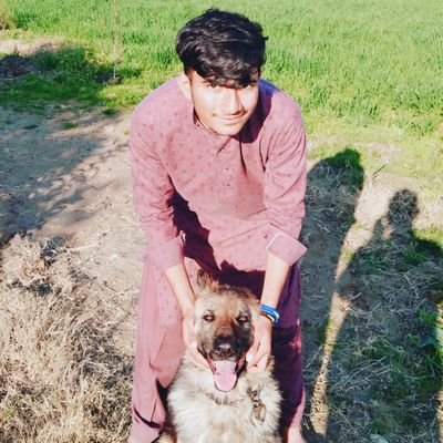 Muhammad5348942's profile picture. 