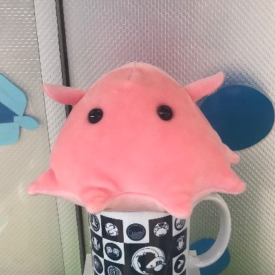 ぽんぽこ🎶さんのプロフィール画像