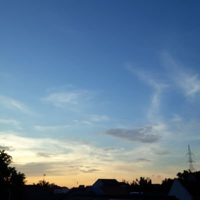 Vbeebit's profile picture. 