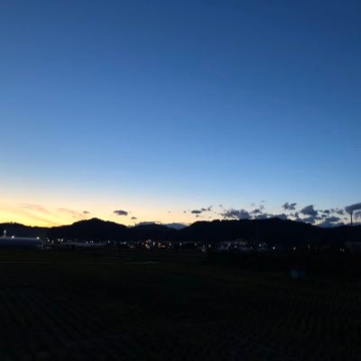 いいね、ReTweetしかしないです。嘘ですけどね。