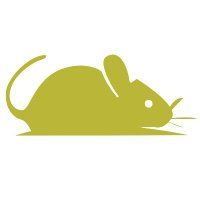 Raton Model Y 🧀 (@ratonev) 's Twitter Profile