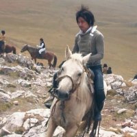 馬上の旅人張宇 (@horse_caravan) Twitter profile photo