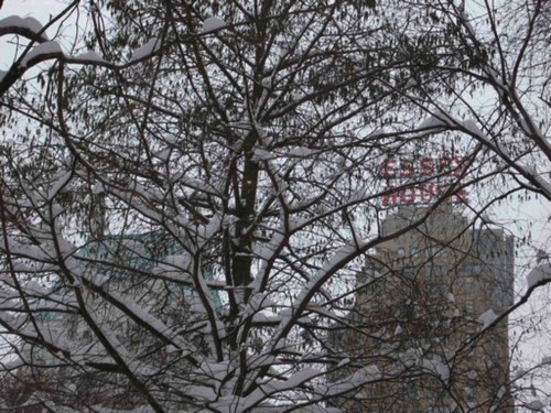 Shaineeg's profile picture. screenwriter/filmmaker/author