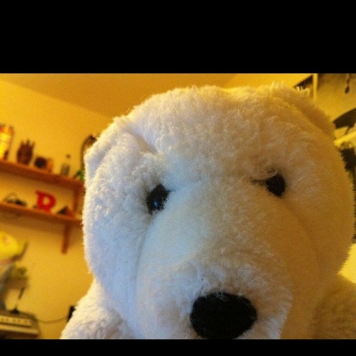 sausagetastic's profile picture. Follow the White Rabbit, not me! He went that way.