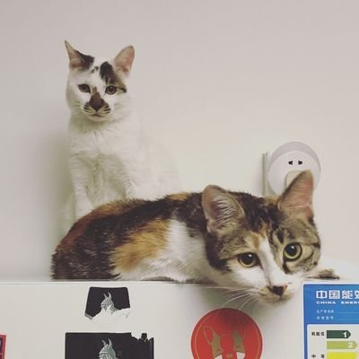 livephe's profile picture. 别看了，我是你爸