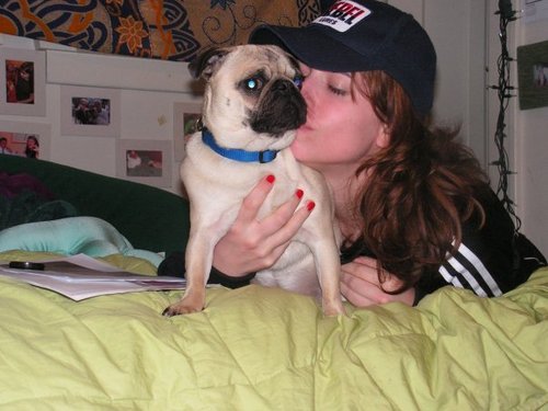 StephIsTheWorst's profile picture. Check out this website for a twisted take on the most important news stories in all the land and also the cure for AIDS... Well, maybe just one of those.